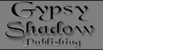 Conviction Of Innocence available on Gypsy Shadow Publishing